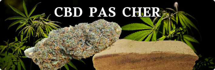 cbd pas cher